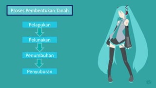 Pelapukan
Pelunakan
Penyuburan
Penumbuhan
Proses Pembentukan Tanah
 