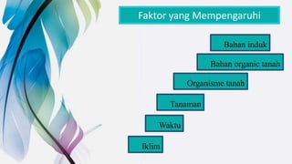 Faktor yang Mempengaruhi
Bahan induk
Bahan organic tanah
Tanaman
Organisme tanah
Waktu
Iklim
 