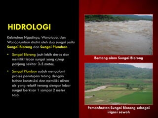 HIDROLOGI
Bentang alam Sungai Blorong
Pemanfaatan Sungai Blorong sebagai
irigasi sawah
Kelurahan Ngadirgo, Wonolopo, dan
Wonoplumbon dialiri oleh dua sungai yaitu
Sungai Blorong dan Sungai Plumbon.
• Sungai Blorong jauh lebih deras dan
memiliki lebar sungai yang cukup
panjang sekitar 3-5 meter.
• Sungai Plumbon sudah mengalami
proses penutupan tebing dengan
bahan konstruksi dan memiliki aliran
air yang relatif tenang dengan lebar
sungai berkisar 1 sampai 2 meter
saja.
 