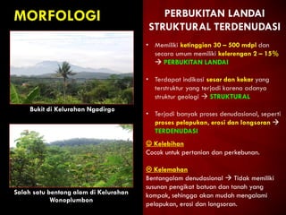 MORFOLOGI
Bukit di Kelurahan Ngadirgo
Salah satu bentang alam di Kelurahan
Wonoplumbon
PERBUKITAN LANDAI
STRUKTURAL TERDENUDASI
• Memiliki ketinggian 30 – 500 mdpl dan
secara umum memiliki kelerengan 2 – 15%
 PERBUKITAN LANDAI
• Terdapat indikasi sesar dan kekar yang
terstruktur yang terjadi karena adanya
struktur geologi  STRUKTURAL
• Terjadi banyak proses denudasional, seperti
proses pelapukan, erosi dan longsoran 
TERDENUDASI
 Kelebihan
Cocok untuk pertanian dan perkebunan.
 Kelemahan
Bentangalam denudasional  Tidak memiliki
susunan pengikat batuan dan tanah yang
kompak, sehingga akan mudah mengalami
pelapukan, erosi dan longsoran.
 