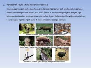 2. Persebaran Fauna (dunia hewan) di Indonesia
Keanekaragaman dan perbedaan fauna di Indonesia dipengaruhi oleh keadaan alam, gerakan
hewan dan rintangan alam. Fauna atau dunia hewan di Indonesia digolongkan menjadi tiga
kelompok berdasarkan pengelompokan oleh Alfred Russel Wallace dan Max Wilhelm Carl Weber.
Secara ringkas tiga kelompok fauna di Indonesia adalah sebagai berikut :
 