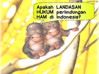 Apakah LANDASAN
HUKUM perlindungan
HAM di Indonesia?
 