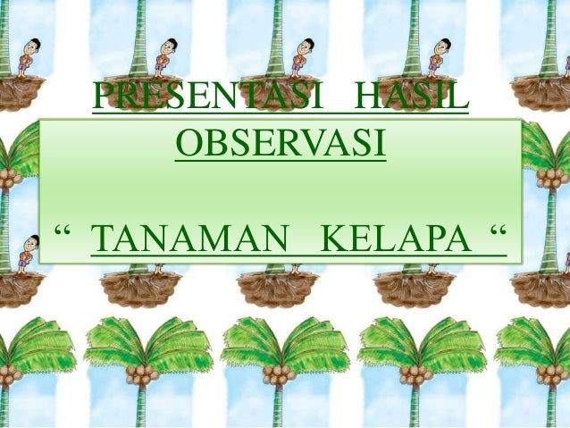 Hasil Observasi Tanaman Kelapa (Bhs. Indonesia)