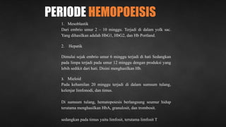 PERIODE HEMOPOEISIS
1. Mesoblastik
Dari embrio umur 2 – 10 minggu. Terjadi di dalam yolk sac.
Yang dihasilkan adalah HbG1, HbG2, dan Hb Portland.
2. Hepatik
Dimulai sejak embrio umur 6 minggu terjadi di hati Sedangkan
pada limpa terjadi pada umur 12 minggu dengan produksi yang
lebih sedikit dari hati. Disini menghasilkan Hb.
3. Mieloid
Pada kehamilan 20 minggu terjadi di dalam sumsum tulang,
kelenjar limfonodi, dan timus.
Di sumsum tulang, hematopoiesis berlangsung seumur hidup
terutama menghasilkan HbA, granulosit, dan trombosit.
sedangkan pada timus yaitu limfosit, terutama limfosit T.
 