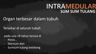 INTRAMEDULAR
pada usia 18 tahun tersisa di
- Pelvis ,
- Sternum dan
- Sumsum tulang belakang
Organ terbesar dalam tubuh
Tersebar di seluruh tubuh
SUM SUM TULANG
 