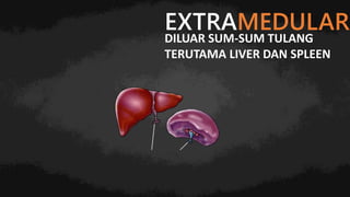 EXTRAMEDULAR
DILUAR SUM-SUM TULANG
TERUTAMA LIVER DAN SPLEEN
 