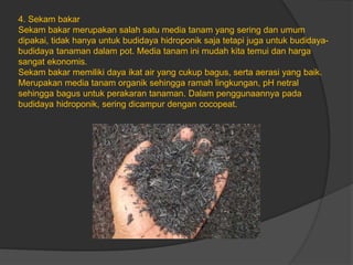 4. Sekam bakar
Sekam bakar merupakan salah satu media tanam yang sering dan umum
dipakai, tidak hanya untuk budidaya hidroponik saja tetapi juga untuk budidaya-
budidaya tanaman dalam pot. Media tanam ini mudah kita temui dan harga
sangat ekonomis.
Sekam bakar memiliki daya ikat air yang cukup bagus, serta aerasi yang baik.
Merupakan media tanam organik sehingga ramah lingkungan, pH netral
sehingga bagus untuk perakaran tanaman. Dalam penggunaannya pada
budidaya hidroponik, sering dicampur dengan cocopeat.
 