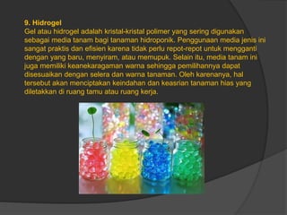 9. Hidrogel
Gel atau hidrogel adalah kristal-kristal polimer yang sering digunakan
sebagai media tanam bagi tanaman hidroponik. Penggunaan media jenis ini
sangat praktis dan efisien karena tidak perlu repot-repot untuk mengganti
dengan yang baru, menyiram, atau memupuk. Selain itu, media tanam ini
juga memiliki keanekaragaman warna sehingga pemilihannya dapat
disesuaikan dengan selera dan warna tanaman. Oleh karenanya, hal
tersebut akan menciptakan keindahan dan keasrian tanaman hias yang
diletakkan di ruang tamu atau ruang kerja.
 