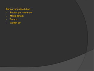 Bahan yang diperlukan :
- Pot/tempat menanam
- Media tanam
- Sumbu
- Wadah air
 