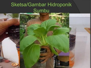 Sketsa/Gambar Hidroponik
Sumbu
 