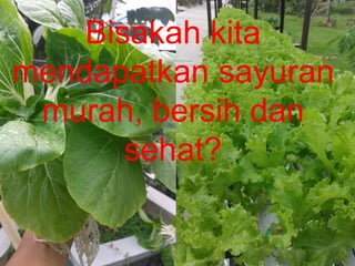 Bisakah kita
mendapatkan sayuran
murah, bersih dan
sehat?
 