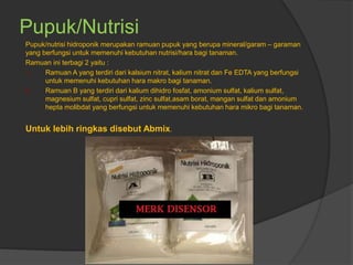 Pupuk/Nutrisi
Pupuk/nutrisi hidroponik merupakan ramuan pupuk yang berupa mineral/garam – garaman
yang berfungsi untuk memenuhi kebutuhan nutrisi/hara bagi tanaman.
Ramuan ini terbagi 2 yaitu :
1. Ramuan A yang terdiri dari kalsium nitrat, kalium nitrat dan Fe EDTA yang berfungsi
untuk memenuhi kebutuhan hara makro bagi tanaman.
2. Ramuan B yang terdiri dari kalium dihidro fosfat, amonium sulfat, kalium sulfat,
magnesium sulfat, cupri sulfat, zinc sulfat,asam borat, mangan sulfat dan amonium
hepta molibdat yang berfungsi untuk memenuhi kebutuhan hara mikro bagi tanaman.
Untuk lebih ringkas disebut Abmix.
 