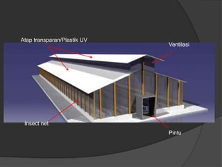 Atap transparan/Plastik UV
Ventilasi
Pintu
Insect net
 