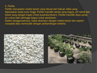 5. Perlite
Perlite merupakan media tanam yang dibuat dari batuan silika yang
dipanaskan pada suhu tinggi. Perlite memiliki aerasi yang bagus, pH netral dan
bobot yang sangat ringan (mirip busa/styrofoam). Perlite memiliki daya serap
air cukup baik sehingga bagus untuk perakaran.
Dalam penggunaannya, biasa dicampur dengan media tanam lain seperti
cocopeat atau vermiculite dengan perbandingan tertentu.
 