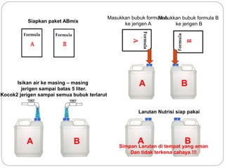 B
A
A B
Siapkan paket ABmix
Masukkan bubuk formula A
ke jerigen A
Masukkan bubuk formula B
ke jerigen B
Isikan air ke masing – masing
jerigen sampai batas 5 liter.
Kocok2 jerigen sampai semua bubuk terlarut
B
A
Larutan Nutrisi siap pakai
Simpan Larutan di tempat yang aman
Dan tidak terkena cahaya !!!
 
