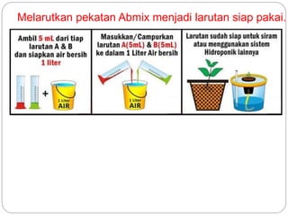 Melarutkan pekatan Abmix menjadi larutan siap pakai.
 