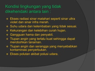Kondisi lingkungan yang tidak
dikehendaki antara lain :
 Ekses radiasi sinar matahari seperti sinar ultra
violet dan sinar infra merah.
 Suhu udara dan kelembaban yang tidak sesuai.
 Kekurangan dan kelebihan curah hujan.
 Gangguan hama dan penyakit.
 Tiupan angin yang terlalu kuat sehingga dapat
merobohkan tanaman.
 Tiupan angin dan serangga yang menyebabkan
kontaminasi penyerbukan.
 Ekses polutan akibat polusi udara.
 