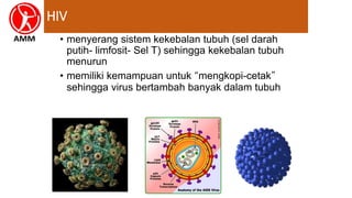 HIV
• menyerang sistem kekebalan tubuh (sel darah
putih- limfosit- Sel T) sehingga kekebalan tubuh
menurun
• memiliki kemampuan untuk “mengkopi-cetak”
sehingga virus bertambah banyak dalam tubuh
 