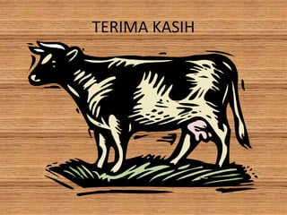 TERIMA KASIH
 