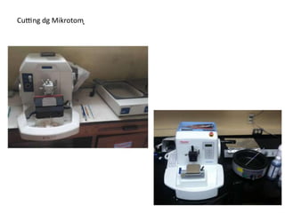 Cutting ͙͙͙dg ͙͙͙Mikrotom ͙͙͙
 