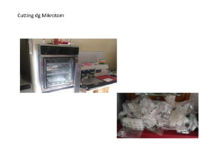 Cutting dg Mikrotom
 