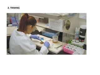 2. TRIMING
 