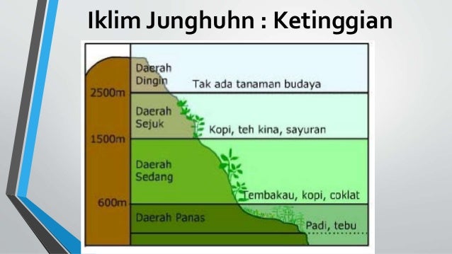 Presentasi Iklim