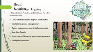 Actors Illegal Logging
Ilegal
Logging
Performers role :
 Local communities and migrant communities
 Capital owners and entrepreneurs
 Timber owners or owners of timber concessio
 Also ship Captain
 Government officers and government apparatus
 Foreign businessmen
Classification Perpetrators Role Based Forestry .
 