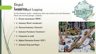 Actors Illegal Logging
Ilegal
Logging
 1 . Forest concessions ( HPH )
 2 . Industry Wood ( woodwork )
 3 . Plywood Industry ( flywood )
 4 . Industry Furniture ( furniture )
 5 . Carpentry or craft
 6 . Rights Plantation Forest ( HTI )
 7 . Industry Pulp and Paper
In the forestry sector , employers who use wood as its core business
there are several groups , namely :
 