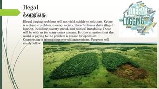 Illegal logging problems will not yield quickly to solutions. Crime
is a chronic problem in every society. Powerful forces drive illegal
logging, including poverty, greed, and political instability. These
will be with us for many years to come. But the attention that the
world is paying to the problem is reason for optimism.
Cooperation is triumphing over old antagonisms. Progress will
surely follow.
Conclusion
Ilegal
Logging
 