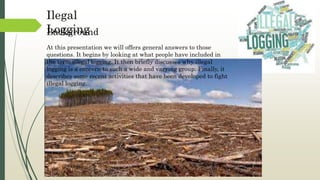 At this presentation we will offers general answers to those
questions. It begins by looking at what people have included in
the term illegal logging. It then briefly discusses why illegal
logging is a concern to such a wide and varying group. Finally, it
describes some recent activities that have been developed to fight
illegal logging.
Background
Ilegal
Logging
 