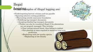 ->Underreporting harvest volumes and tax payable
->Ignoring selective cutting guidelines
->Harvesting outside concession boundaries
->Falsifying log transport documents
->Accepting falsified log transport documents
->Timber can also be considered illegal if the plantations
are not properly managed. This includes:
->Clear-cutting natural forest, then failing to replant
->Not planting at rates required to maintain long-term
production
->Replanting with low-quality species
->Replanting at low density
Other examples of illegal logging are:
Ilegal
Logging
 