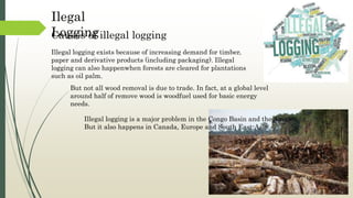 Illegal logging exists because of increasing demand for timber,
paper and derivative products (including packaging). Illegal
logging can also happenwhen forests are cleared for plantations
such as oil palm.
Causes of illegal logging
Ilegal
Logging
But not all wood removal is due to trade. In fact, at a global level
around half of remove wood is woodfuel used for basic energy
needs.
Illegal logging is a major problem in the Congo Basin and the Amazon.
But it also happens in Canada, Europe and South East-Asia.
 