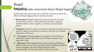 Underneath this agreement lies a diversity of concerns about the
effects of illegal logging. These concerns include:
Why are people concerned about illegal logging?
Ilegal
Logging
 Environment: Illegal logging has destroyed forests and the
services they provide: sustainable fuel and fibre supplies,
wildlife habitat, water supplies, and other environmental
values.
 Commerce: Orderly conduct of business depends on enforcement of
property rights, honouring of contracts, and the even-handed
application of the law.
.
 • Governance: Illegal logging is a symptom of the failure to
administer justice effectively, and it feeds corruption and
organized crime
 • Revenues: Illegal logging has cost governments billions of
dollars in lost tax revenue and forest owners billions of dollars
in lost stumpage. Because illegal logging is often
unsustainable, it robs communities of future income
 