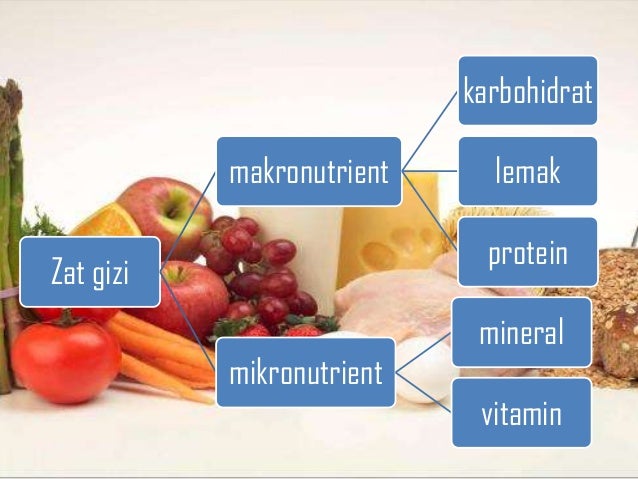 Zat Gizi Nutrient Asasi