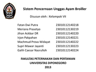 108 Gambar Pencernaan Unggas HD