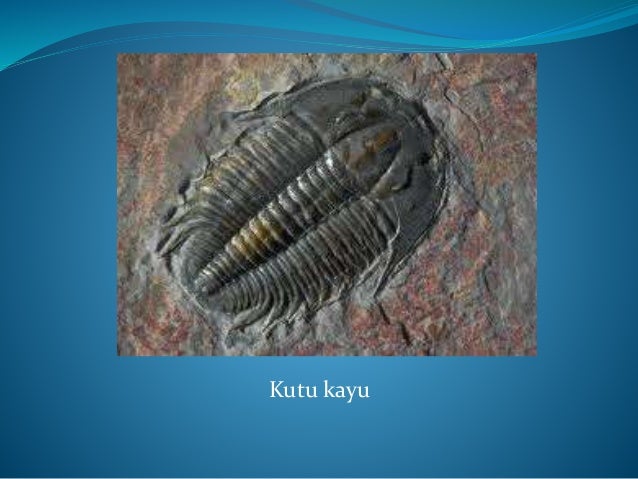 Ekosistem 39036789