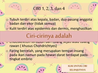 CIRI 1, 2, 3, dan 4 
o Tubuh terdiri atas kepala, badan, dua pasang anggota 
badan dan ekor (tidak semua) 
o Kulit terdiri atas epidermis dan dermis, menghasilkan 
rambut, sisik, (plastron dan Ciri-bulu, kelenjar atau horn/ zat tanduk 
karapax cirinya pada penyu) 
adalah 
o Endoskeleton tersusun dari tulang sejati atau tulang 
rawan ( khusus Chondrichtyes) 
o Faring bercelah, yang merupakan tempat insang 
pada ikan namun pada hewan darat terdapat pada 
tingkat embrio 
KLIK UNTUK CIRI 
SELANJUTNYA 
 