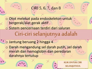 CIRI 5, 6, 7, dan 8 
o Otot melekat pada endoskeleton untuk 
bergerak/alat gerak aktif 
o Sistem pencernaan terdiri dari saluran 
pencernaan Ciri-ciri dan selanjutnya kelenjar makanan adalah 
berupa 
pankreas, hati, dan empedu 
o Jantung beruang 2 hingga 4 
o Darah mengandung sel darah putih, sel darah 
merah dan hemoglobin dan peredaran 
darahnya tertutup 
KLIK UNTUK CIRI 
SELANJUTNYA 
 