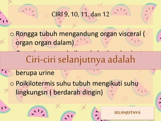 CIRI 9, 10, 11, dan 12 
o Rongga tubuh mengandung organ visceral ( 
organ organ dalam) 
o Gonad Ciri-sepasang ciri selanjutnya baik pada betina adalah 
dan jantan 
o Terdapat sepasang ginjal untuk alat ekskresi 
berupa urine 
o Poikilotermis suhu tubuh mengikuti suhu 
lingkungsn ( berdarah dingin) 
SELANJUTNYA 
 