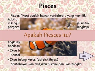 Pisces 
Pisces (ikan) adalah hewan vertebrata yang memiliki 
habitat di air dengan sistem respirasi dengan 
insang.Hewan pisces memiliki sirip yang berfungsi untuk 
pergerakan hewan pisces di dalam air,dengan dilengkapi 
gurat sisi untuk mengetahui tekanan air.Pisces termasuk 
kelompok hewan Apakah berdarah Piesces dingin (poikiloterm),itu? 
yang 
berarti mampu menyesuaikan suhu tubuh dengan 
lingkungannya.Pengelompokan jenis pisces ini 
berdasarkan tulangnya,yaitu: 
> Ikan tulang rawan (chondrichthyes) 
Contohnya: ikan pari,ikan hiu,dan ikan cucut 
KLIK 
> Ikan tulang keras (osteichthyes) 
Contohnya: ikan mas,ikan gurami,dan ikan tongkol 
 
