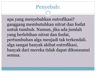 Penyebab:
 apa yang menyebabkan eutrofikasi?
ganggang membutuhkan nitrat dan fosfat
untuk tumbuh. Namun, jika ada jumlah
yang berlebihan nitrat dan fosfat,
pertumbuhan alga menjadi tak terkendali.
alga sangat banyak akibat eutrofikasi,
banyak dari mereka tidak dapat dikonsumsi
semua.
 