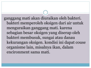 ganggang mati akan diuraikan oleh bakteri.
bakteri memperoleh oksigen dari air untuk
menguraikan ganggang mati. karena
sebagian besar oksigen yang diserap oleh
bakteri membusuk, sungai atau danau
kekurangan oksigen. kondisi ini dapat couse
organisme lain, misalnya ikan, dalam
encironment sama mati.
 