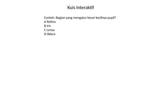 Kuis Interaktif
Contoh: Bagian yang mengatur besar kecilnya pupil?
A Retina
B Iris
C Lensa
D Sklera
 