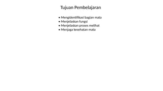 Tujuan Pembelajaran
• Mengidentifikasi bagian mata
• Menjelaskan fungsi
• Menjelaskan proses melihat
• Menjaga kesehatan mata
 