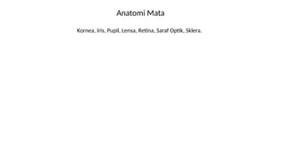 Anatomi Mata
Kornea, Iris, Pupil, Lensa, Retina, Saraf Optik, Sklera.
 