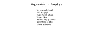 Bagian Mata dan Fungsinya
Kornea: melindungi
Iris: atur pupil
Pupil: masuk cahaya
Lensa: fokus
Retina: tangkap cahaya
Saraf Optik: ke otak
Sklera: pelindung
 
