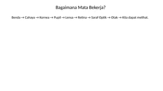 Bagaimana Mata Bekerja?
Benda → Cahaya → Kornea → Pupil → Lensa → Retina → Saraf Optik → Otak → Kita dapat melihat.
 