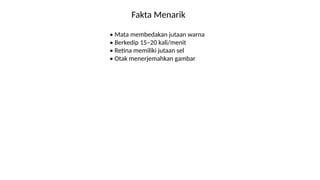Fakta Menarik
• Mata membedakan jutaan warna
• Berkedip 15–20 kali/menit
• Retina memiliki jutaan sel
• Otak menerjemahkan gambar
 