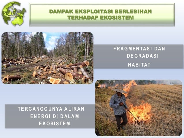 Download 450 Gambar Eksploitasi Lingkungan Paling Baru 